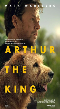 Arthur the King (2024) Hindi ORG WEB-DL Full Movie  Movie images