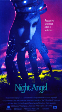 Night Angel (1990) Hindi Dubbed Full-Movie BluRay Movie images