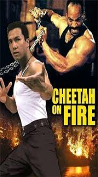 Cheetah on Fire (1992) Hindi Dubbed Full Movie BluRay Movie images